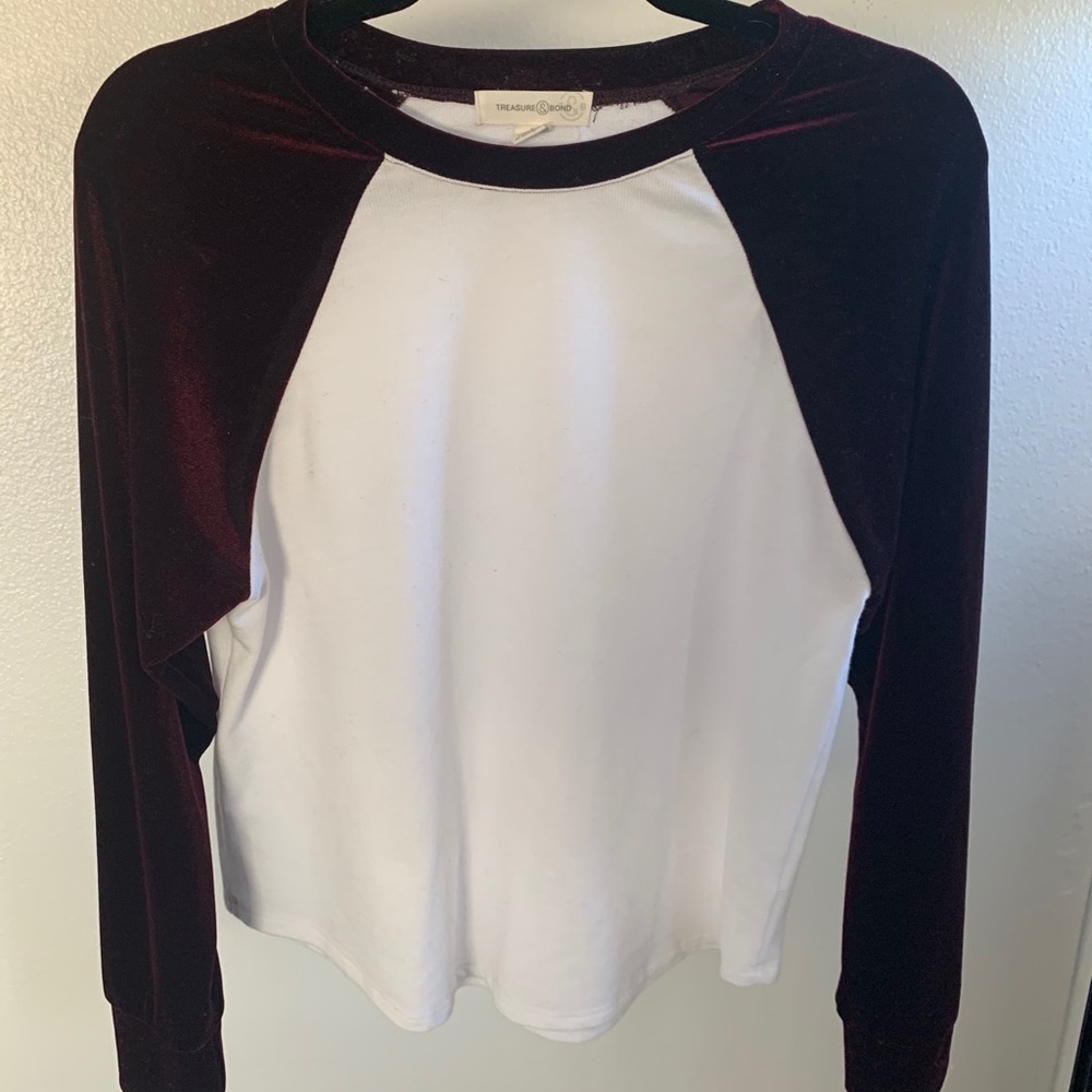 Treasure and Bone Velour Top
